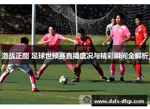 激战正酣 足球世预赛直播盛况与精彩瞬间全解析