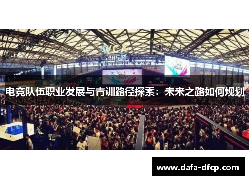 电竞队伍职业发展与青训路径探索：未来之路如何规划